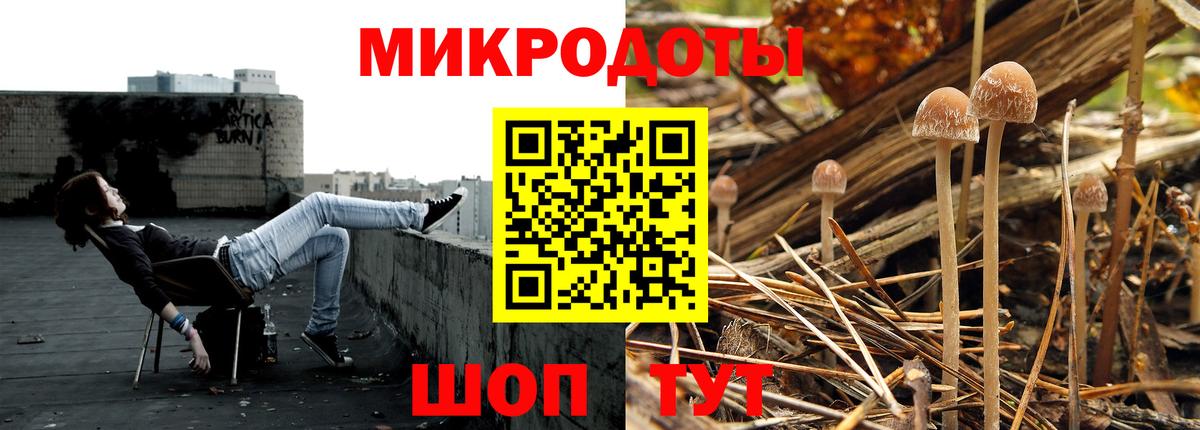 Псилоцибиновые грибы прущие грибы  Вход с VPN  Владивосток  Галлюциногенные грибы мицелий 